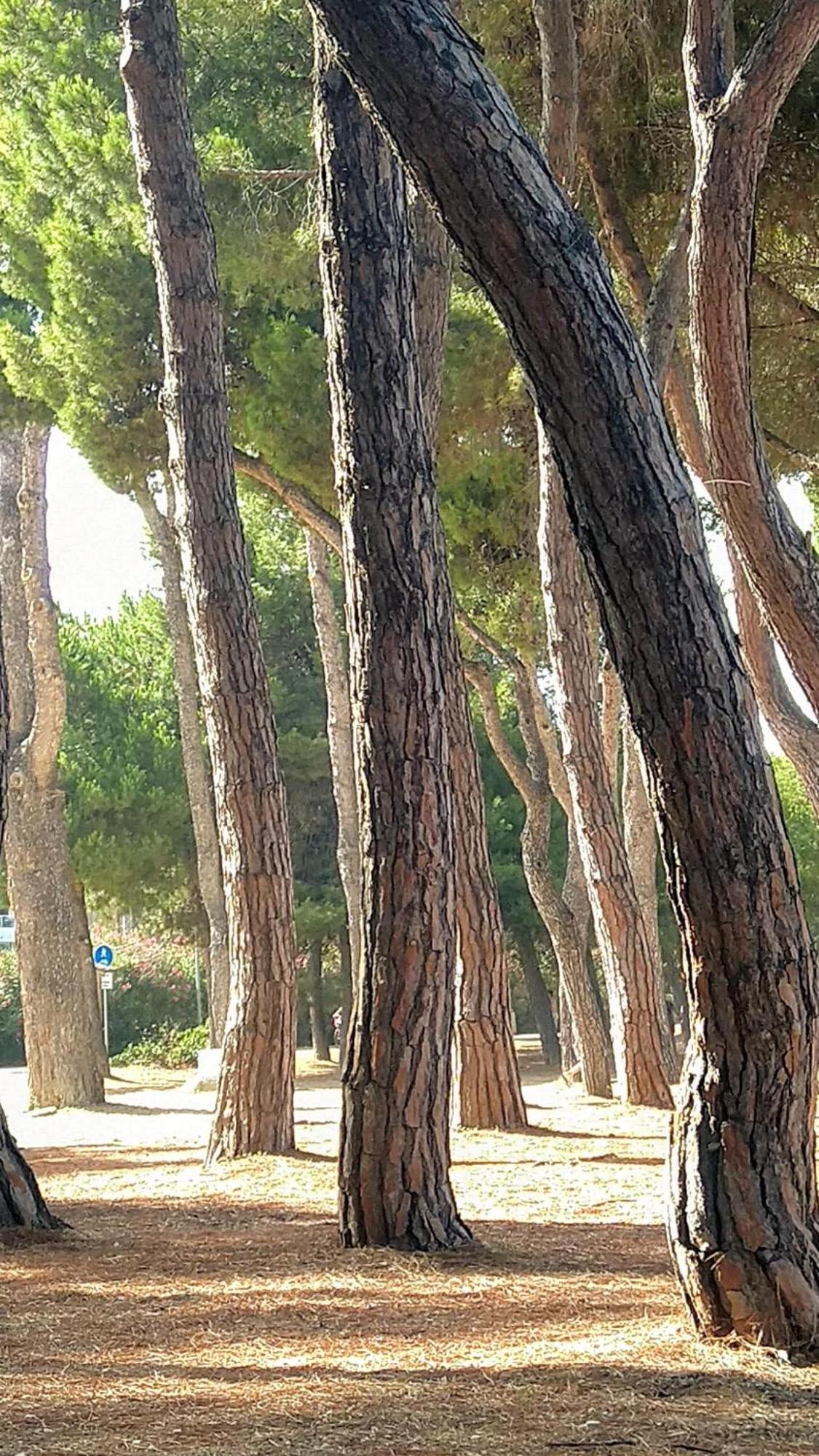 Villa Ferranti Abruzzo Montefino Exteriör bild